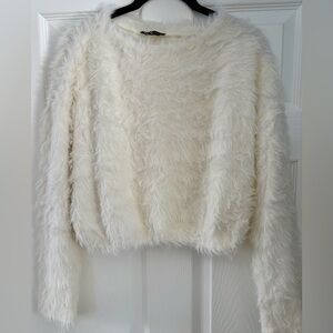 Zara Fuzzy Cropped Sweater